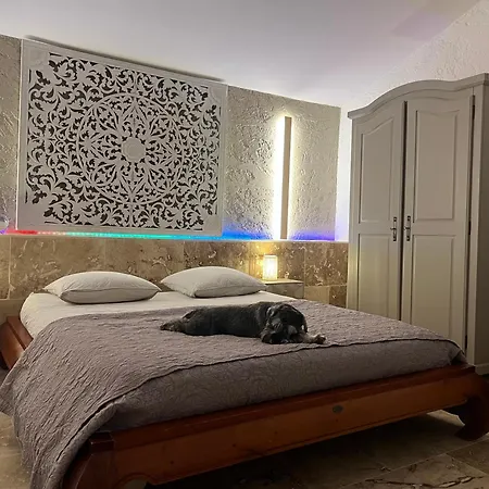 Grand Domaine Piscine Sauna Les Bains Bastide Du Bonheur St Donat 빌라